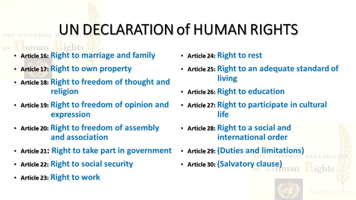 My right перевод. Universal Declaration of Human rights article 5. Articles about Education. Educational articles in English. Human rights Declaration exercises.